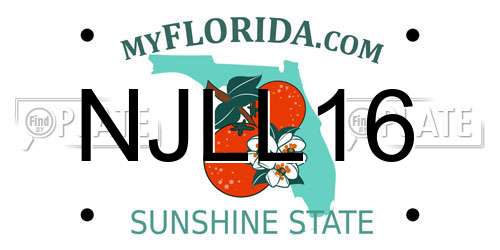 NJLL16 Florida License Plate