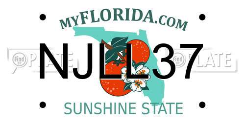 NJLL37 Florida License Plate