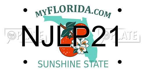 NJLP21 Florida License Plate