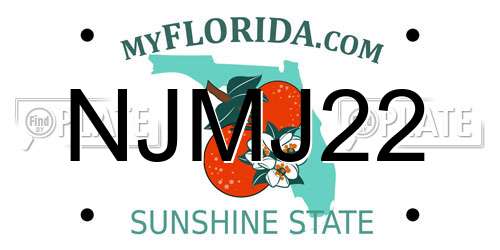 NJMJ22 Florida License Plate