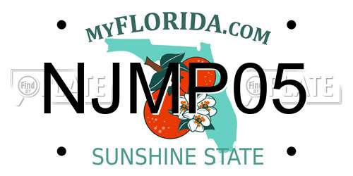 NJMP05 Florida License Plate