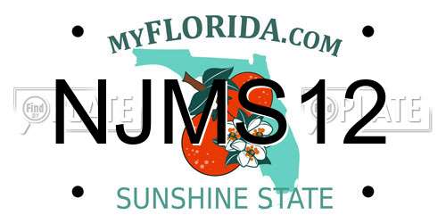 NJMS12 Florida License Plate