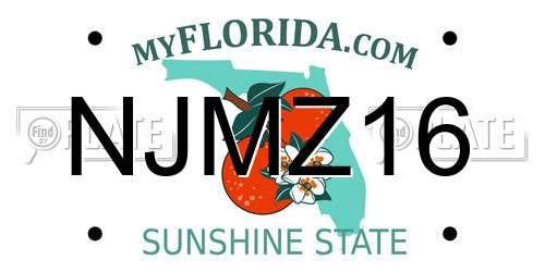 NJMZ16 Florida License Plate