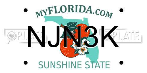 NJN3K Florida License Plate
