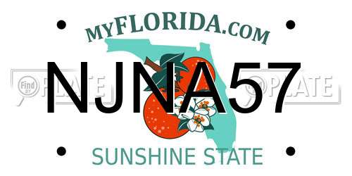 NJNA57 Florida License Plate