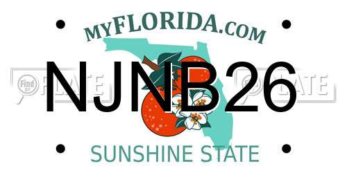 NJNB26 Florida License Plate