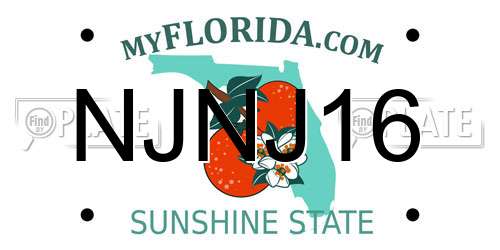 NJNJ16 Florida License Plate