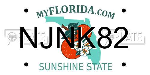 NJNK82 Florida License Plate