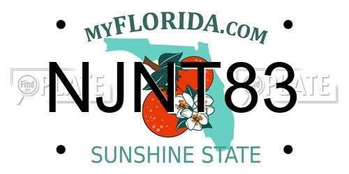 NJNT83 Florida License Plate