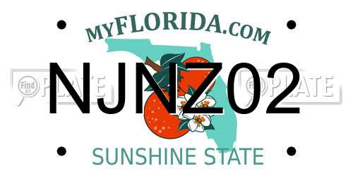 NJNZ02 Florida License Plate