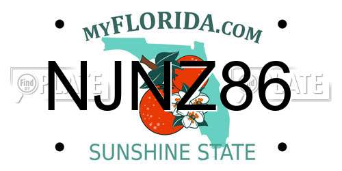 NJNZ86 Florida License Plate