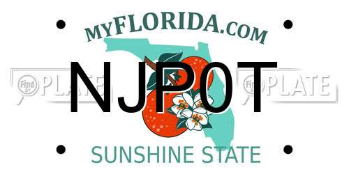 NJP0T Florida License Plate