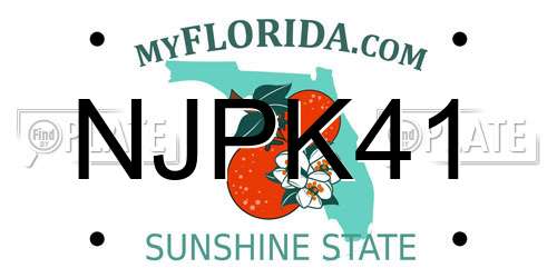 NJPK41 Florida License Plate