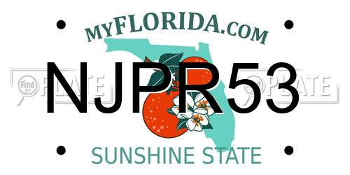 NJPR53 Florida License Plate