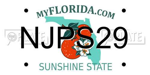 NJPS29 Florida License Plate