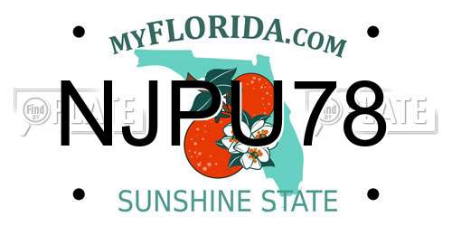 NJPU78 Florida License Plate