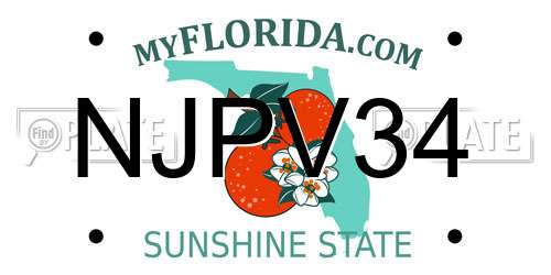 NJPV34 Florida License Plate