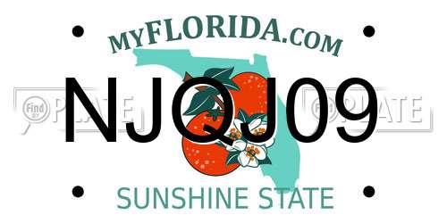 NJQJ09 Florida License Plate