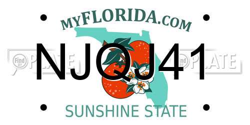 NJQJ41 Florida License Plate