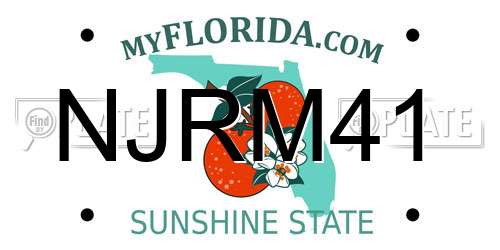 NJRM41 Florida License Plate