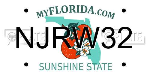 NJRW32 Florida License Plate