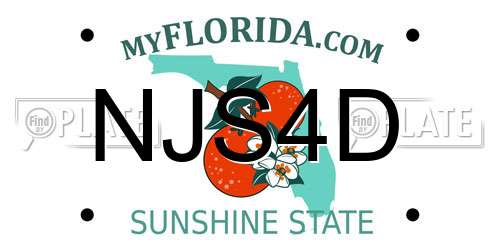 NJS4D Florida License Plate