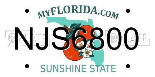 NJS6800 Florida License Plate