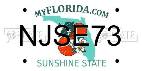 NJSE73 Florida License Plate