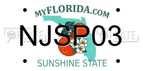 NJSP03 Florida License Plate