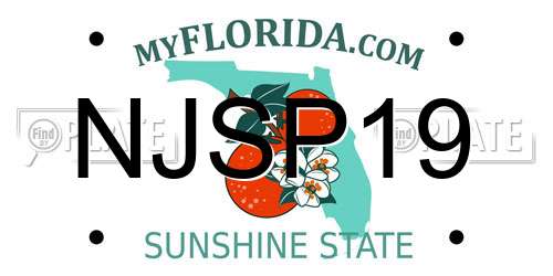 NJSP19 Florida License Plate