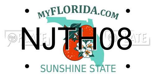 NJTH08 Florida License Plate