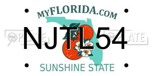 NJTL54 Florida License Plate