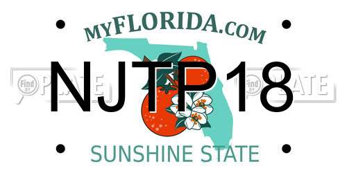 NJTP18 Florida License Plate
