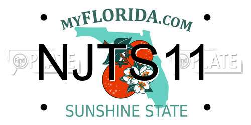 NJTS11 Florida License Plate