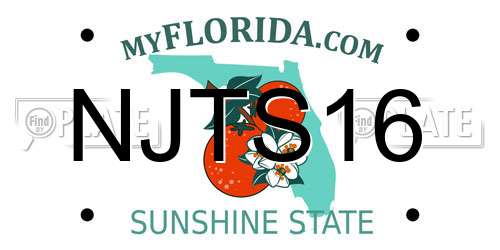 NJTS16 Florida License Plate