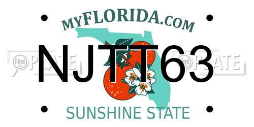 NJTT63 Florida License Plate