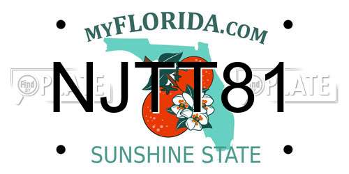 NJTT81 Florida License Plate