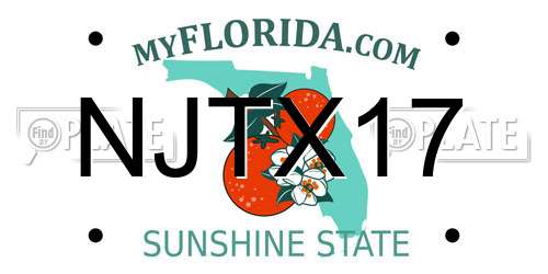 NJTX17 Florida License Plate