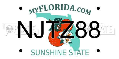NJTZ88 Florida License Plate