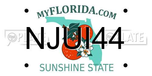 NJUI44 Florida License Plate