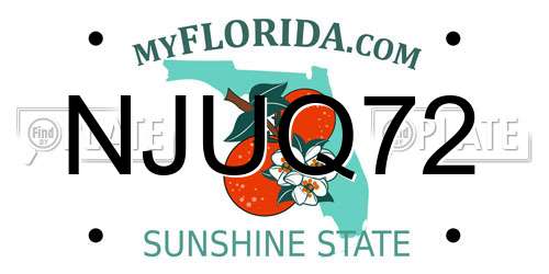 NJUQ72 Florida License Plate