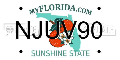 NJUV90 Florida License Plate