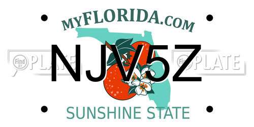 NJV5Z Florida License Plate