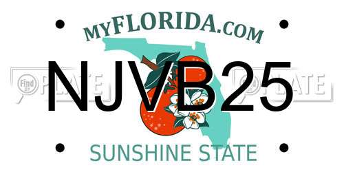 NJVB25 Florida License Plate