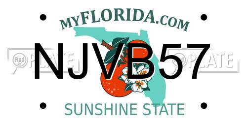 NJVB57 Florida License Plate