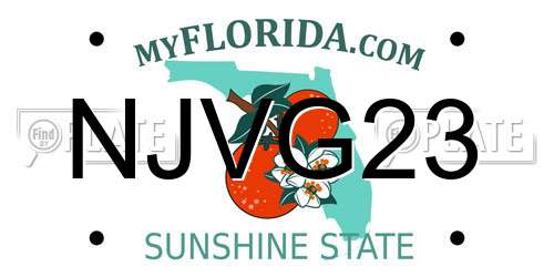 NJVG23 Florida License Plate