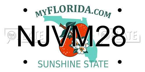 NJVM28 Florida License Plate