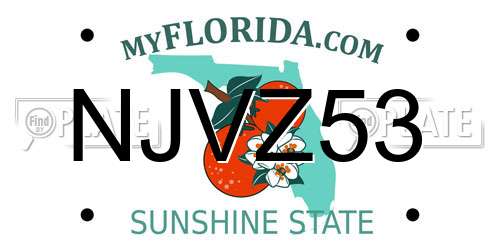 NJVZ53 Florida License Plate