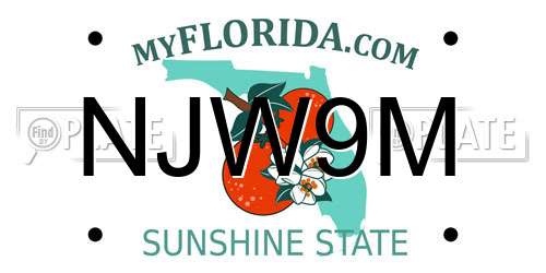 NJW9M Florida License Plate