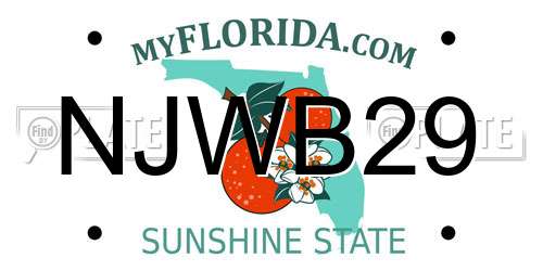NJWB29 Florida License Plate